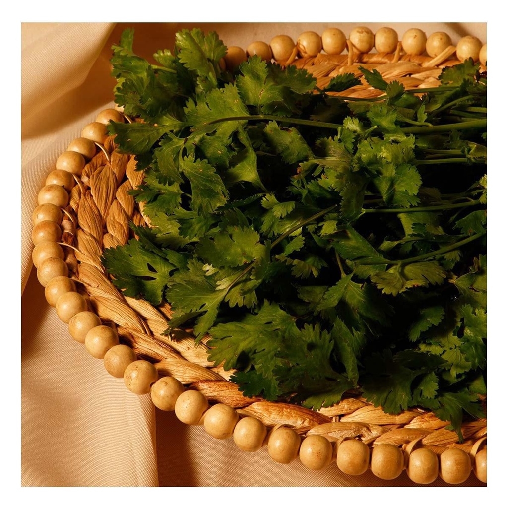 Cilantro — manojo chico
