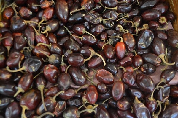 Chile cascabel — por kg