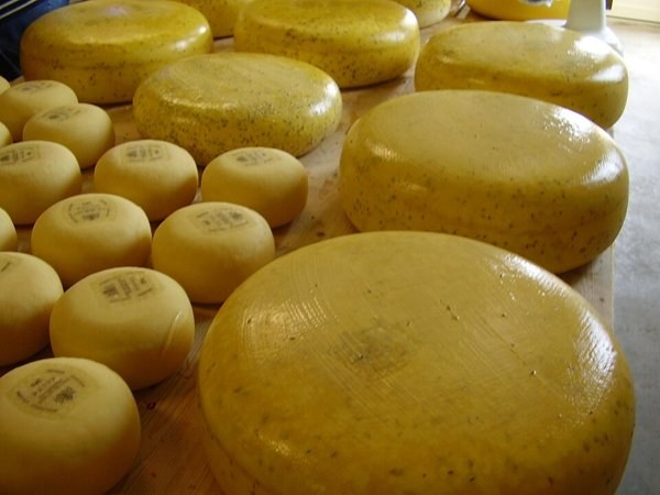 [1716676595507-Li0jX] Queso gouda — por kg