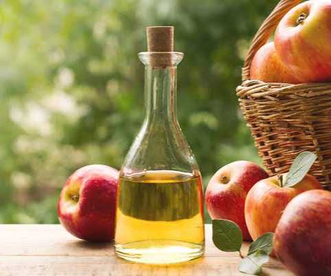 [1696541100962-Li0jX] Vinagre de Manzana