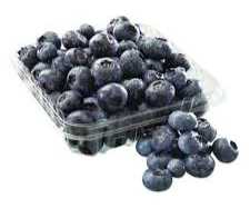 [1692315349960-Li0jX] blueberry