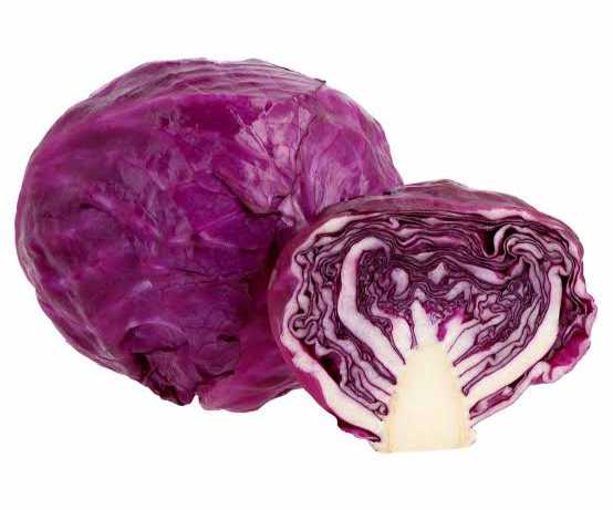 [1689983934744425-Li0j] COL MORADA