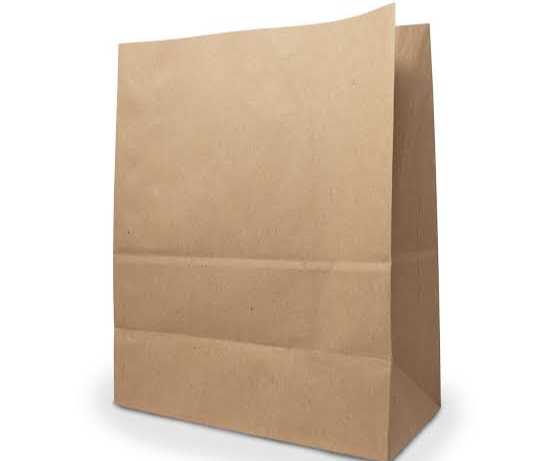 [24111503] BOLSA KRAFT CHICA