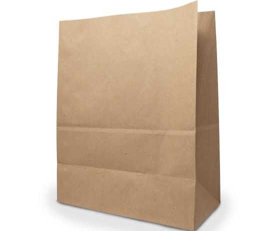 [24111503] BOLSA KRAFT GDE