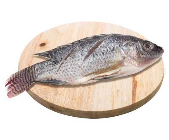 [1689983934741311-Li0j] Pescado Para Freír