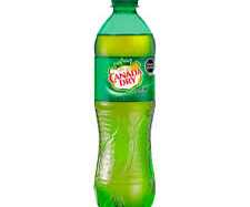[1689983934740294-Li0j] GINGER ALE