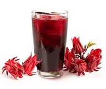 [1689983934740268-Li0j] AGUA DE JAMAICA 1L