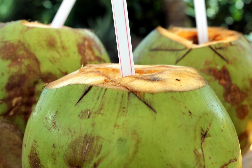 [1689983934740266-Li0j] Agua de Coco — por unidad