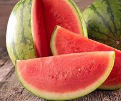 [48] Sandia
