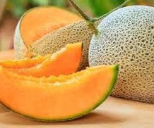 [48] Melon