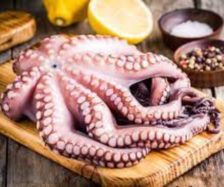 [48] Pulpo 2-4