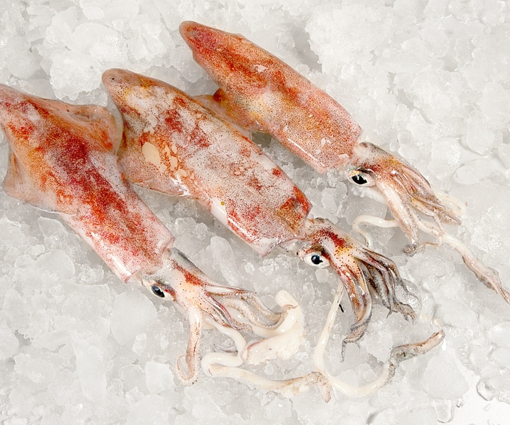[12] Calamares cocido
