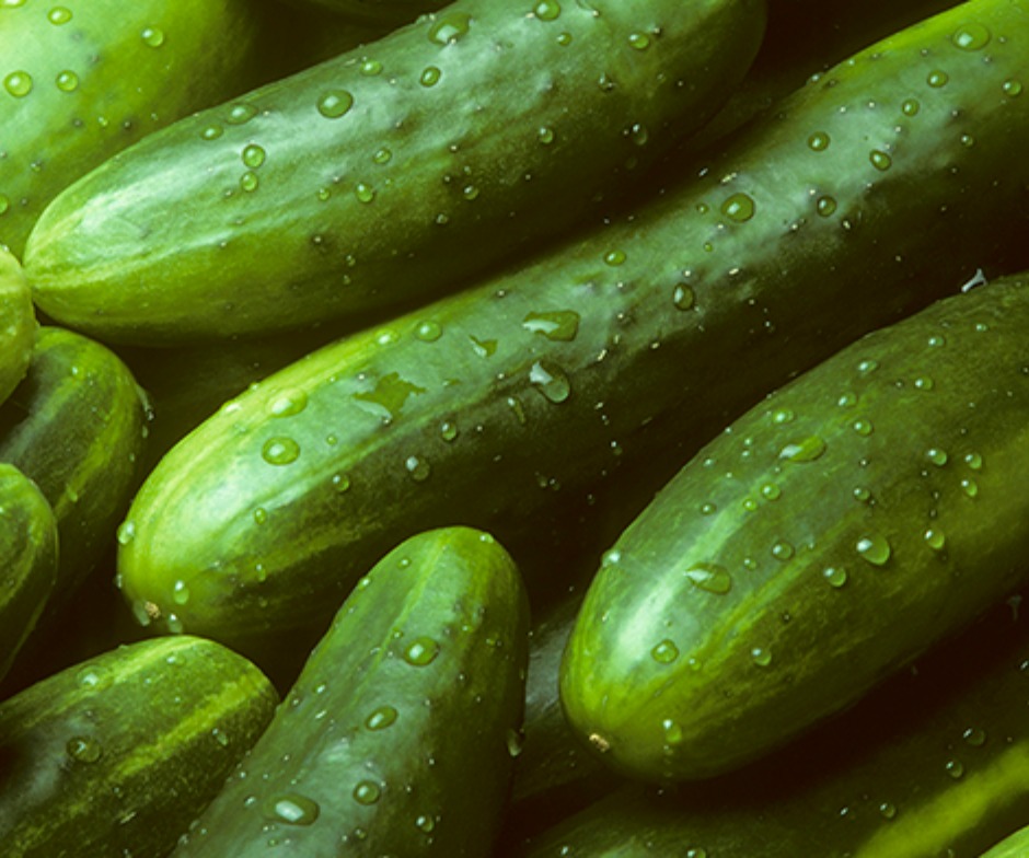 [48] Pepino (costal)