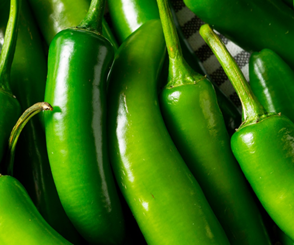 [48] Chile Serrano
