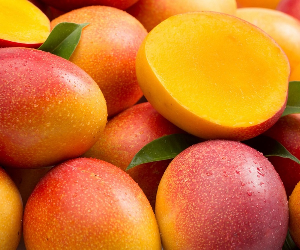 [48] Mango