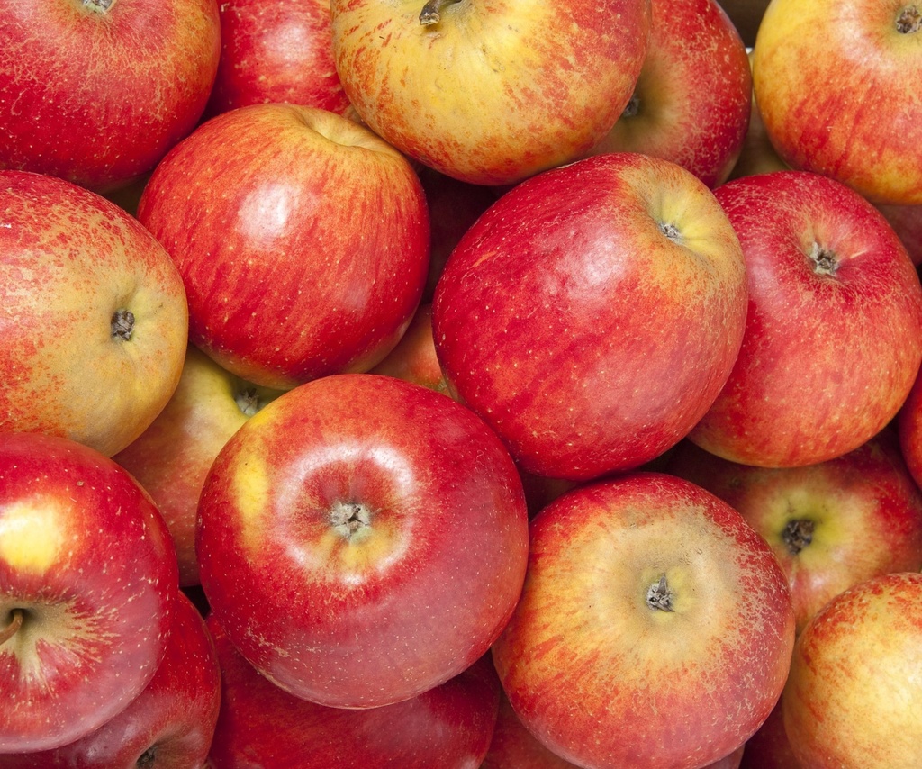 [48] Manzana Roja