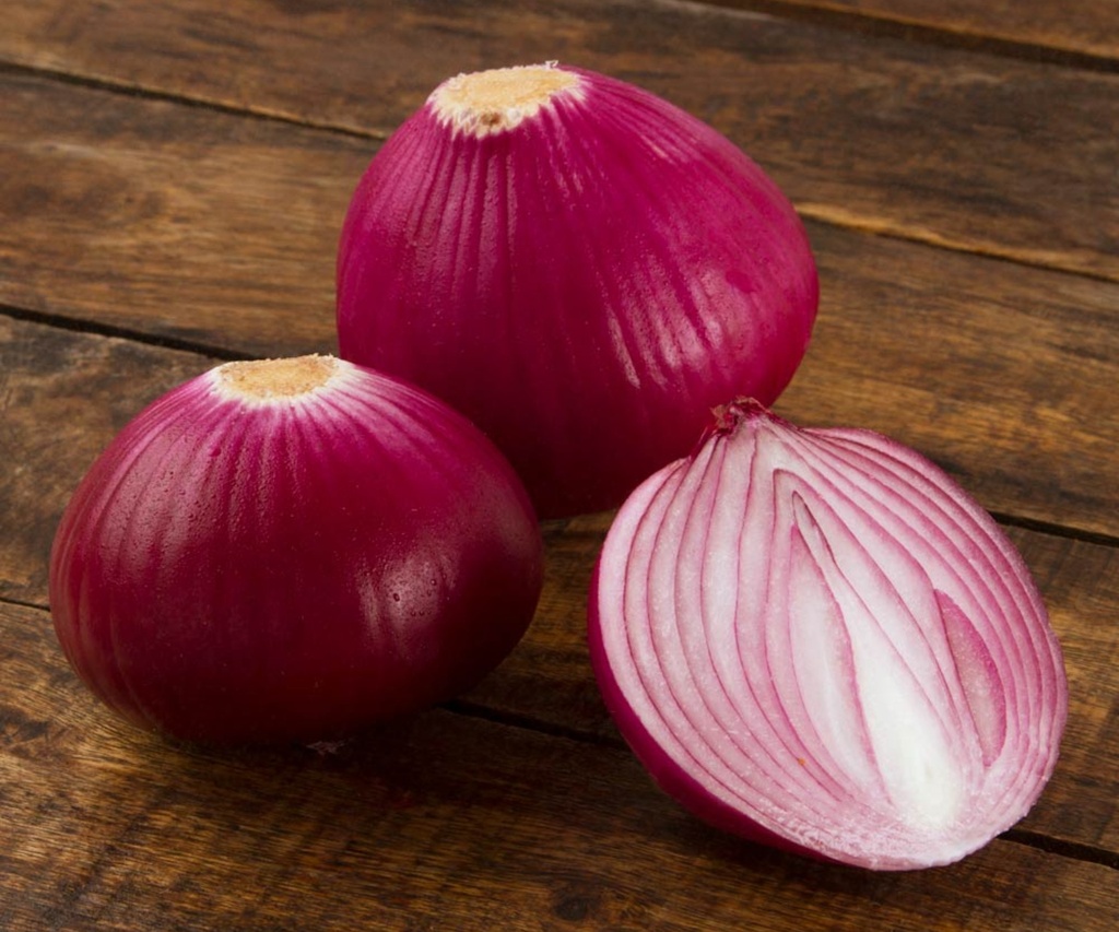 [48] Cebolla Morada