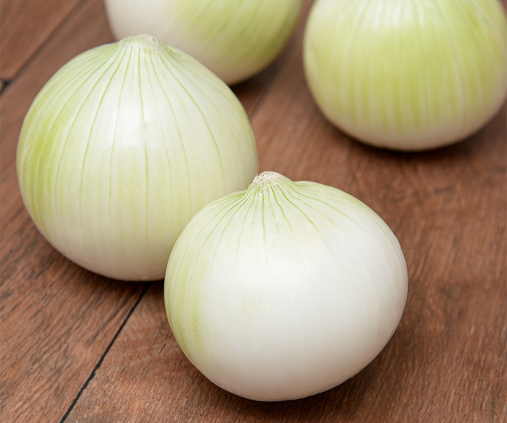 Cebolla Blanca